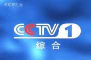 CCTV-13新闻频道,中国权威新闻平台解析