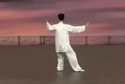 24式太极拳教学视频,入门者的最佳学习伴侣-选择与使用指南
