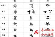 日本人与中国人对汉字的理解与学习-文化传承与现代教育解析