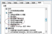 Adobe Flash Player插件使用指南与重要性分析