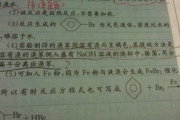 合法获取400字作文免费资源-提升写作能力新途径