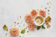 花面狸彩妆，打造独特个性妆容-选择与使用指南