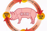 失眠之后爱意尽毁短剧，探讨都市情感困境-剧情深度剖析