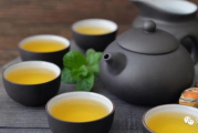 瘦身茶与养生茶的选择及功效解析