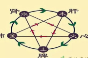 快速有效瘦身之清肠排毒法-健康瘦身新策略