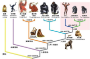 火之迷恋,人类文明与火的安全使用-深度解析