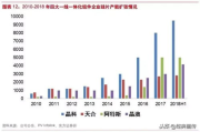服装行业数据分析报告,市场趋势与商业策略解析