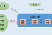 怎样才能交而不泄,持久力提升全攻略-科学方法解析