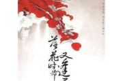 落花时节又逢君电视剧免费观看渠道与注意事项