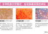 皮肤检测,科学护肤第一步-全面了解皮肤状况