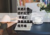 天启Z:完结的起点--天启Z：落幕亦是新程开端