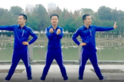 武阿哥广场舞瘦身, 全部动作解析与减肥策略