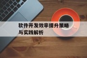 软件开发效率提升策略与实践解析