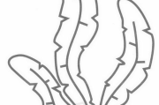 水族服饰简笔画,传统与现代交融的艺术创作-绘制方法与技巧解析