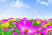 花海影视，视觉盛宴与情感共鸣的完美结合-SEO优化策略解析