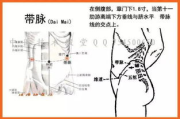 重庆经络减肥,传统中医瘦身方法的现代应用-健康瘦身解析