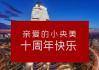 广州珀谷服饰有限公司,时尚设计品牌-市场策略分析
