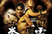 经典老电影功夫武打片100部，传承中华武术文化-鉴赏指南