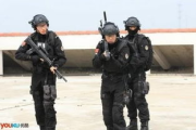 特警力量电视剧，真实还原特警生活-精彩剧情与角色解析