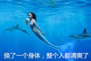 《美人鱼》电影在线观看完整版-合法途径与观影体验