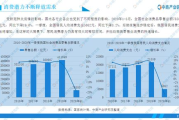 中国服装品牌崛起之路，创新设计与市场策略解析