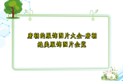 唐朝的服饰图片大全-唐朝绝美服饰图片全览