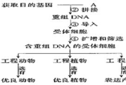 变形金刚14大组合体,揭秘独特能力与战斗策略-经典角色深度剖析