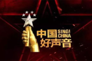中国好声音100首好歌,经典歌曲精选与欣赏指南