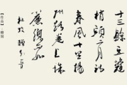 春风十里,自然生机的象征-春日生活指南