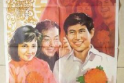 红楼吧电影网,在线观影新体验