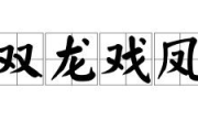 双龙戏凤,传统吉祥图案的深层文化解读与应用
