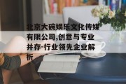 北京大碗娱乐文化传媒有限公司,创意与专业并存-行业领先企业解析
