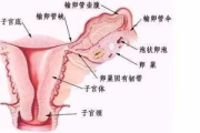 女生下面流出来黏黏的液体,原因及应对方法解析