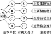 长效生长激素与短效生长激素的区别及使用指南