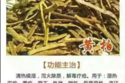 纯中药瘦身胶囊,绿色减肥新选择-健康瘦身解决方案解析
