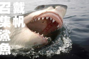大白鲨生态特征与保护策略-海洋生物多样性保护解析