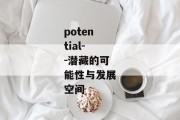 potential--潜藏的可能性与发展空间