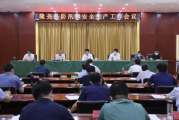 百度网页版搜索技巧与优化策略解析