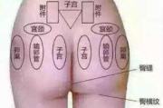 艾灸美容瘦身,传统疗法的现代应用-美容瘦身新选择