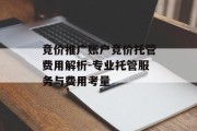 竞价推广账户竞价托管费用解析-专业托管服务与费用考量