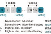 yfos科学瘦身,健康减重新理念-实现完美身材的解决方案解析