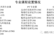 性治疗师,专业服务内容与选择指南-性健康解决方案解析