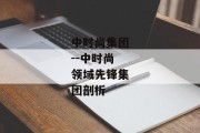 中时尚集团--中时尚领域先锋集团剖析