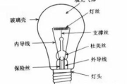 磁雕瘦身,效果评估与副作用解析-美容技术探究