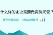 SEM竞价托管,提升在线广告效果-专业托管策略解析