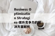 Business Optimization Strategies-提升竞争力的解决方案解析