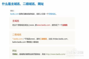 百度权重高的平台,提升网站流量-高效SEO策略解析