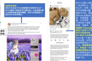 瘦身品牌,专业指南-健康瘦身解决方案解析