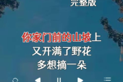 如何完美演绎《第八集》歌曲-情感与技巧解析