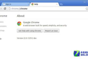 Chrome浏览器官方下载与使用指南-功能特点与优化技巧解析